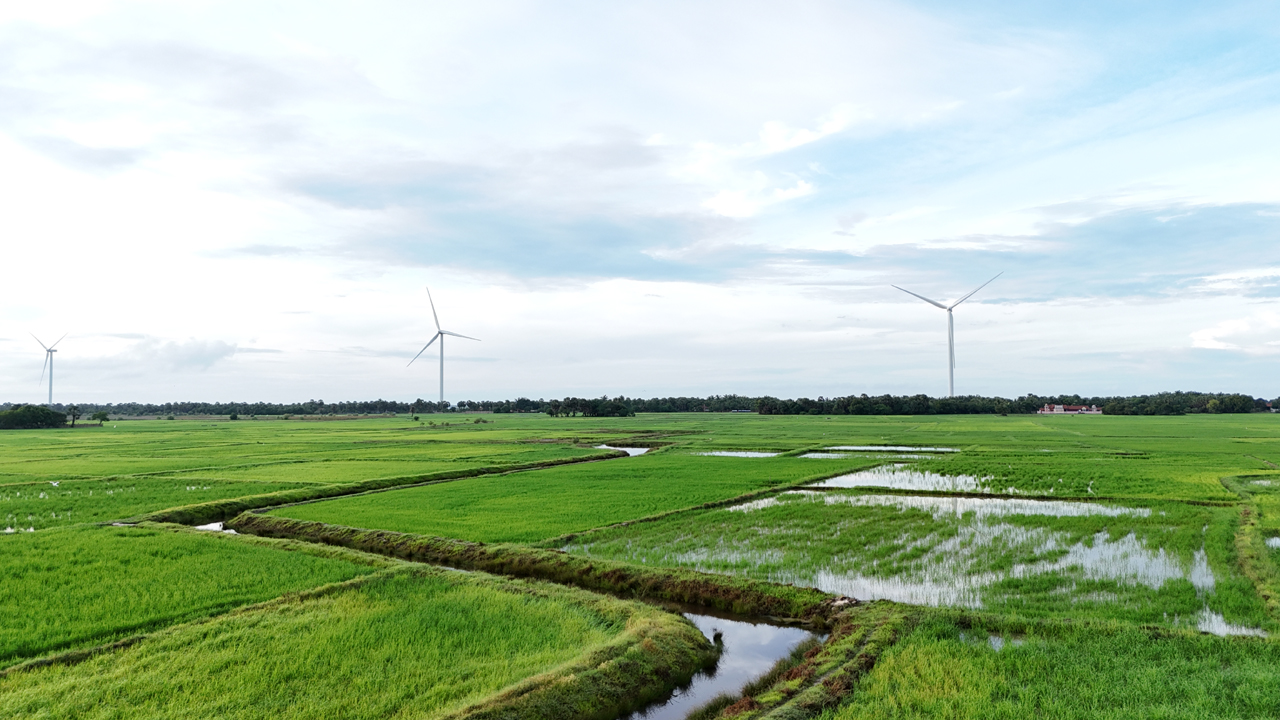 16-Paddy field,Thanankillappu